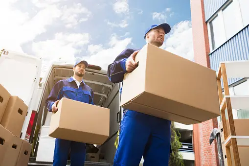house movers near me home movers near me house removal near me home removal near me house movers companies home movers companies house movers near me home movers near me house removal near me home removal near me house movers companies home movers companies